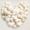 Small Sea Shells White Small Tiny Sea Shells Clam Shells Bulk Natural Scallop Shells for Home Decor Beach Theme Party Fish Tank Vase Filler